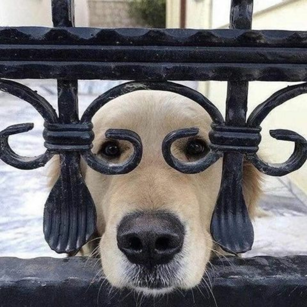 Meet your Posher, Brent